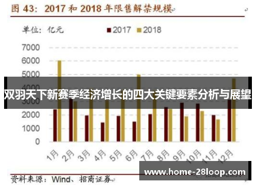 双羽天下新赛季经济增长的四大关键要素分析与展望